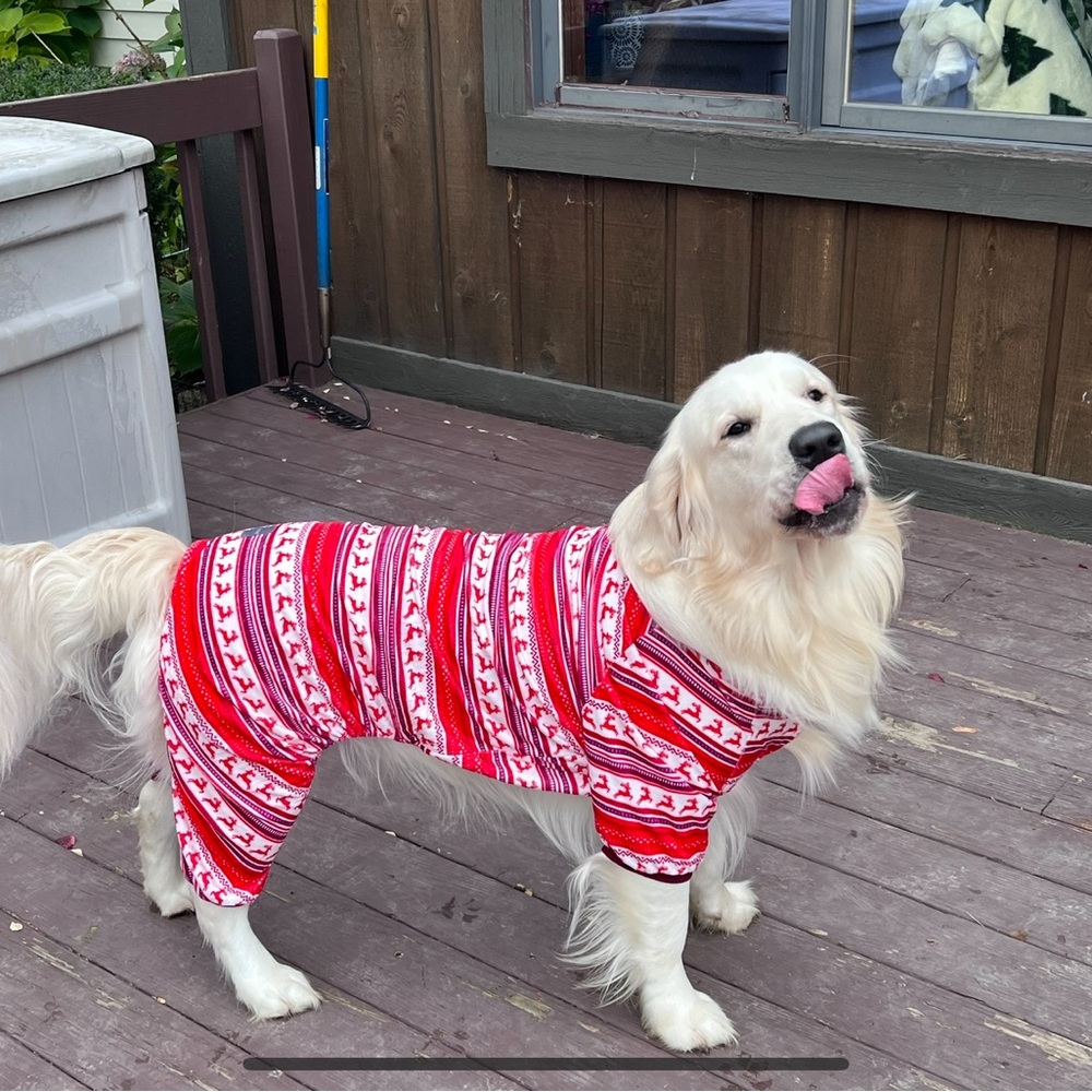 XL dog Christmas pajamas by Fuzzyard